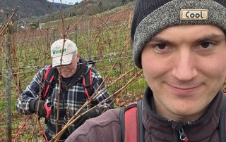 Timo und Werner beim Rebschnitt