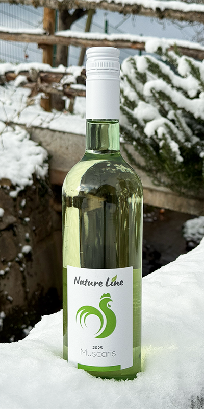 2025er Muscaris Piwi Wein süß